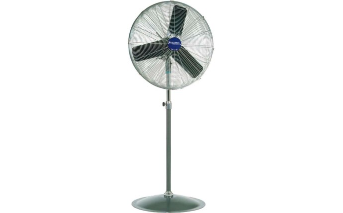 ind-10991468.jpg