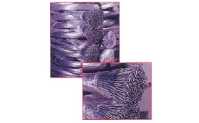 ind-36010018_1.jpg